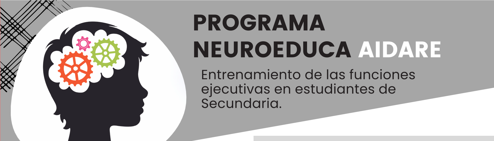 Imagen de la noticia: Programa NeuroEduca AIDARE [Actualizado]